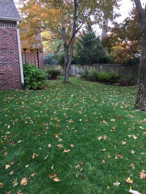 November in Tulsa w Complete Lawn Care.