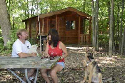 Cabin Rentals available