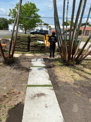 Xtream Stump Grinding