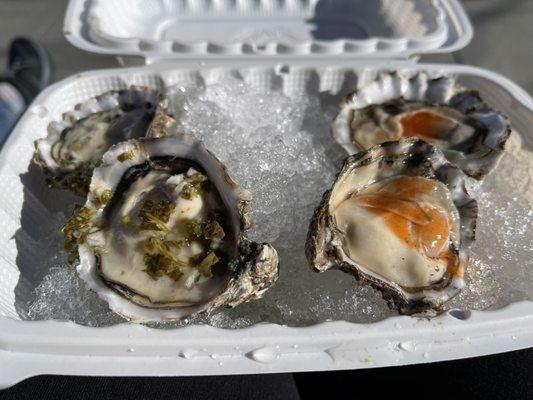 Oysters on the half shell. The two on the left feature the oyster bar's special sauce. On the right is Tabasco.