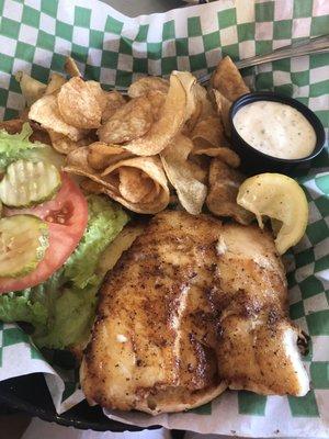 Grilled grouper sandwich