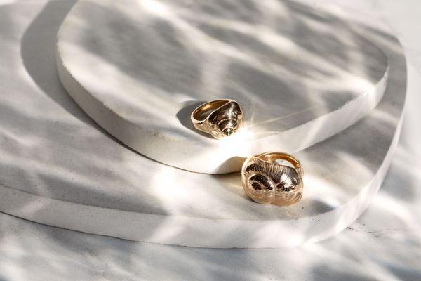 Moon snail and sea snail rings