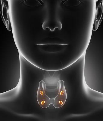 Endocrine Surgery of the Thyroid, Parathyroid, Adrenal and Pancreas