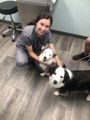 Dr Ashlynn with Ava and Loki.