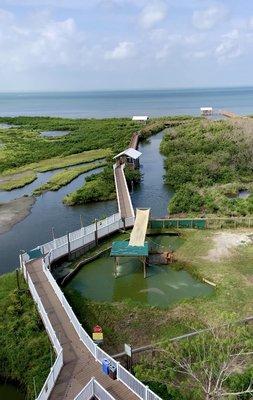 View from observation tower