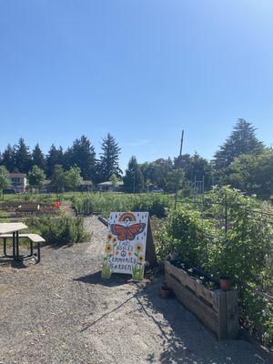 Community Garden