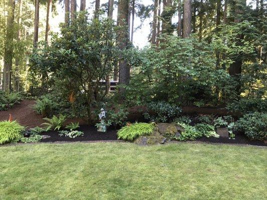 Landscaping and gardening, yard maintenance