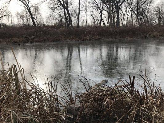 A picture of the frozen still water artery cut from the Desplaines River.