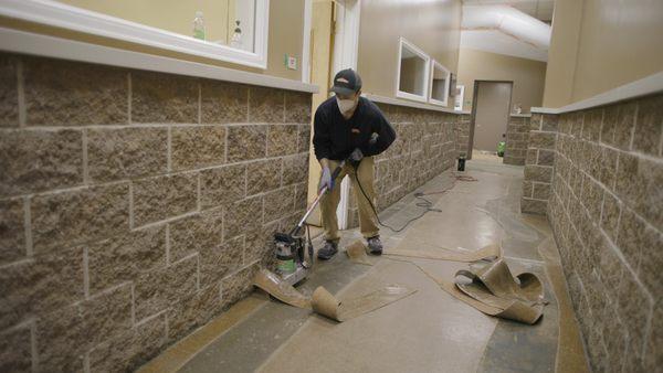 SERVPRO team member takes up flooring from a commercial building after flood damage.