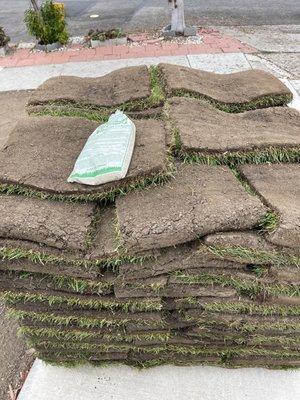 Quality sod you can get, great price too.