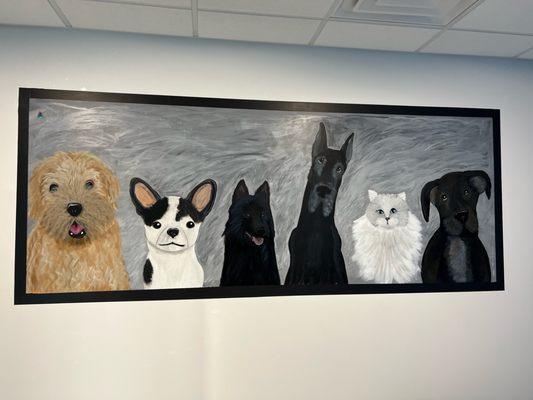 We want to make sure our senior pet's have a special place to relax and get comfortable, this is our geriatric room mural.