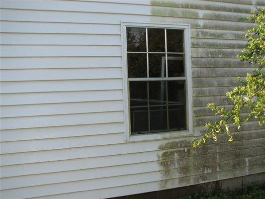 We also pressure wash houses and clean windows which is really popular in the spring and summer! Schedule today at acecarpetclean1.com