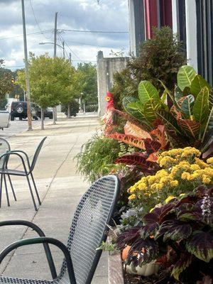 The front entrance of The Back Porch restaurant. Fall decorations and beautiful plants.