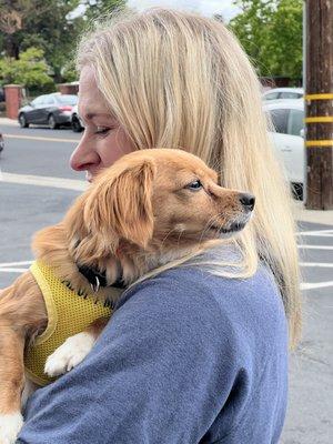 Dog care volunteer with dog