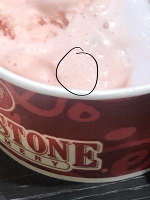 I found a hair in my ice cream disgusting