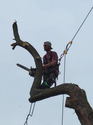 Justin Rieke of Rieke Tree Service