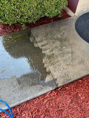 He power washed my entryway as a bonus.