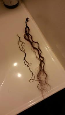 The weft after I cut it out and one of the first braids that slid out from my crown area, after I gently combed my hair.