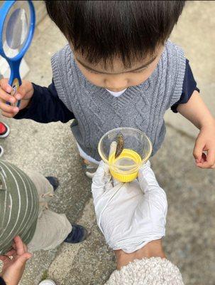 The kids love finding inspiration of learning from their surroundings