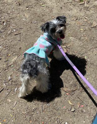 My girl enjoying the park!