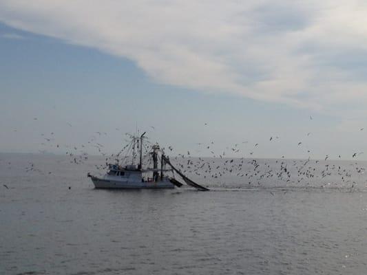 A shrimp boat viewed from the ferry while crossing. You will also see dolphins.