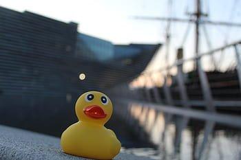 rubber ducky