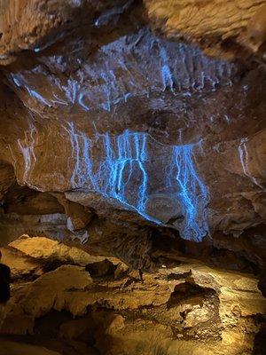 Bioluminescent Alge that glows under black light .