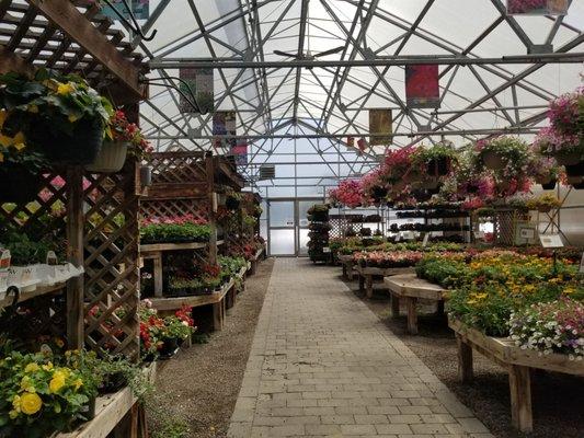 Greenhouse is full of annuals