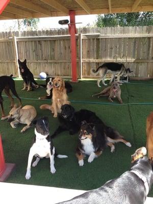 Summer time! Keeping cool under the awning.