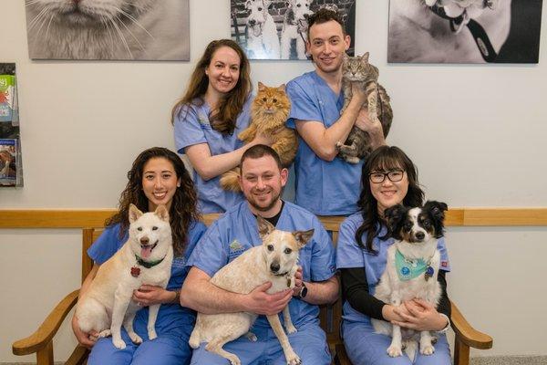 West Village Veterinary Hospital