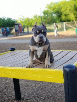 Dorian on top of one of the obstacles.