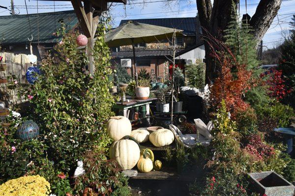 Briggs Garden Center