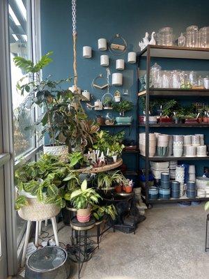 Left storefront display