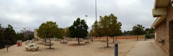 Lower Softball Field Area