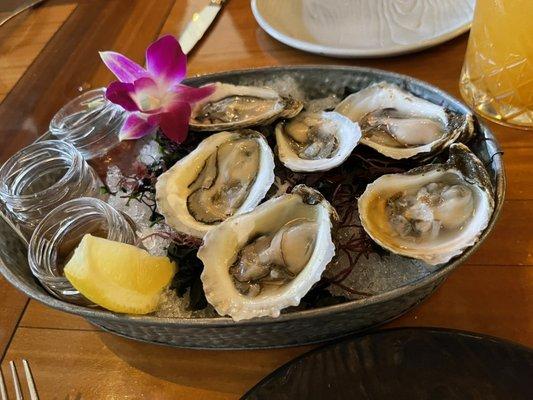 Half dozen oysters with 3 sauces