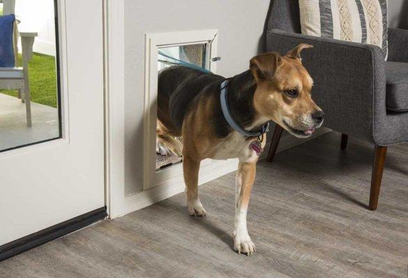 Free pet door for Every Home