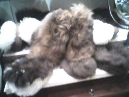 the fuzzy slippers look like small mammals