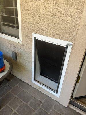 Dog door installation & outlet relocation