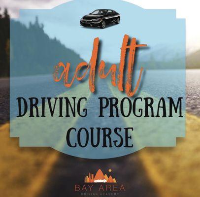 Bay Area driving academy