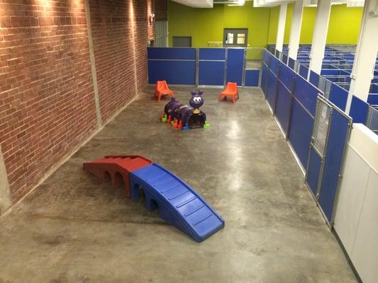 Small dogs' indoor play area