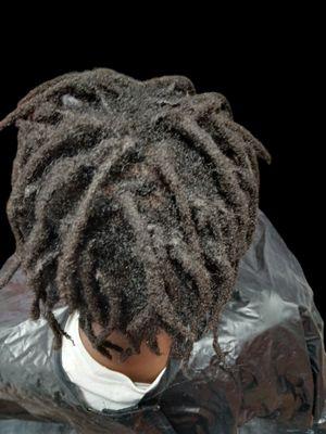 Locs by Phiire