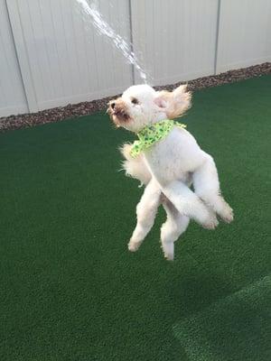 Fitz  loves the hose :)