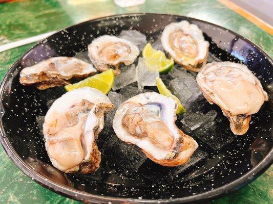 Oysters