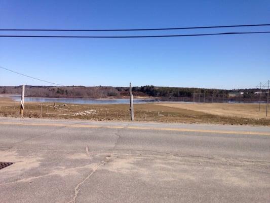 The pastures around the store were the cows actually live.