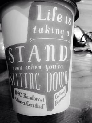 Love the quotes you find on their cups