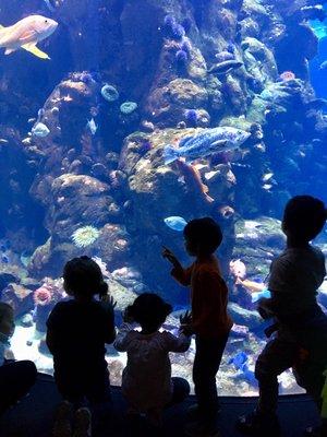 Field Trip to the aquarium.