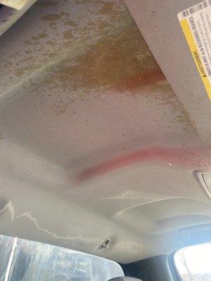 You can see the water damage inside the truck and what I believe is insulation foam