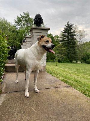 Kentucky Humane Society East Campus