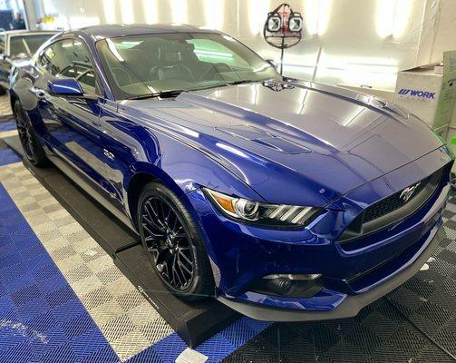 Ford Mustang looking really glossy after it's paint correction and ceramic coating