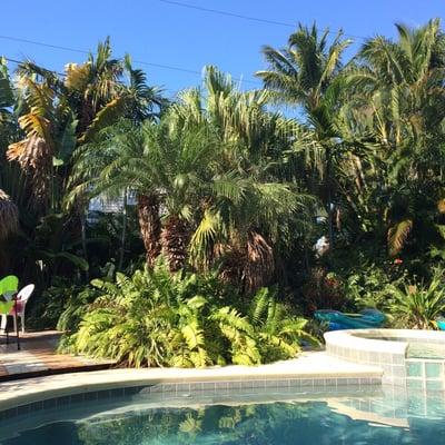 Coffee on the pool deck.  5566 Palmetto